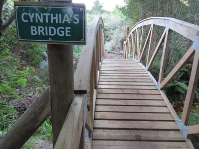 New bridges over botanical garden hiking paths